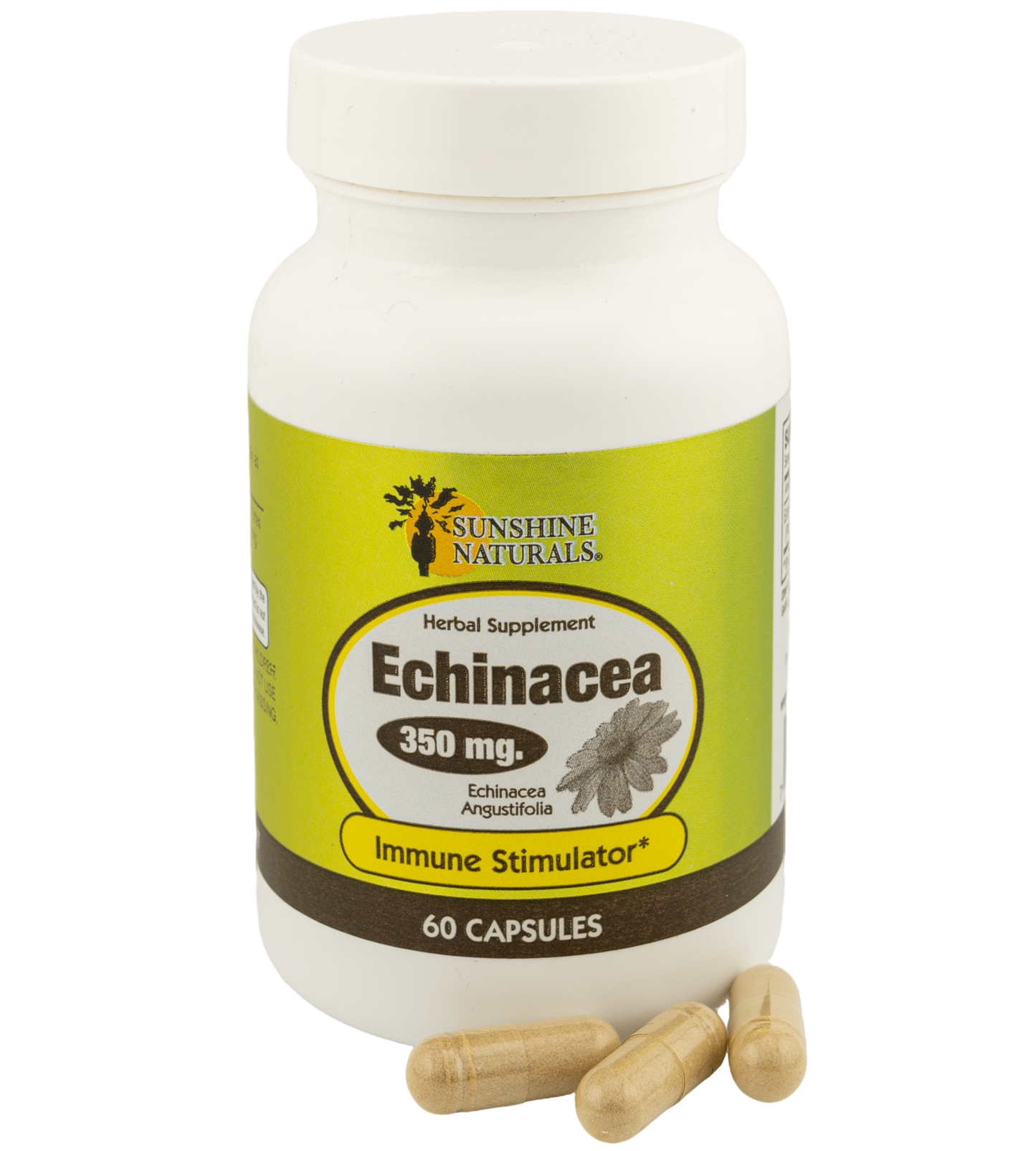 Echinacea 350mg 60 Capsules